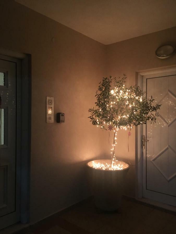 Cozy & Quiet City Apartment Tríkala Екстериор снимка