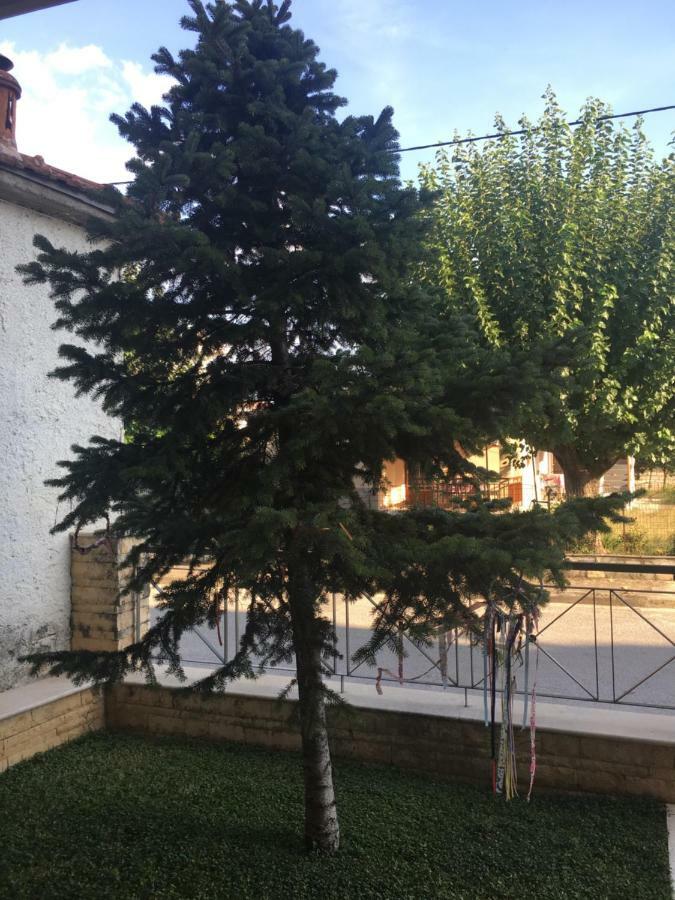 Cozy & Quiet City Apartment Tríkala Екстериор снимка